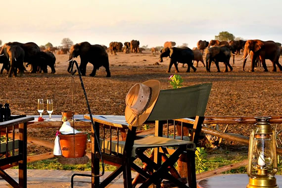 Herd of elephants seen at sunset - Tsavo East National Park, Kenya